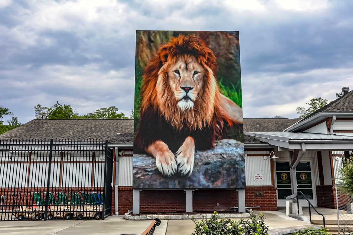 Giant outdoor video screen displaying a lion at the Turtle Back Zoo in New Jersey.
